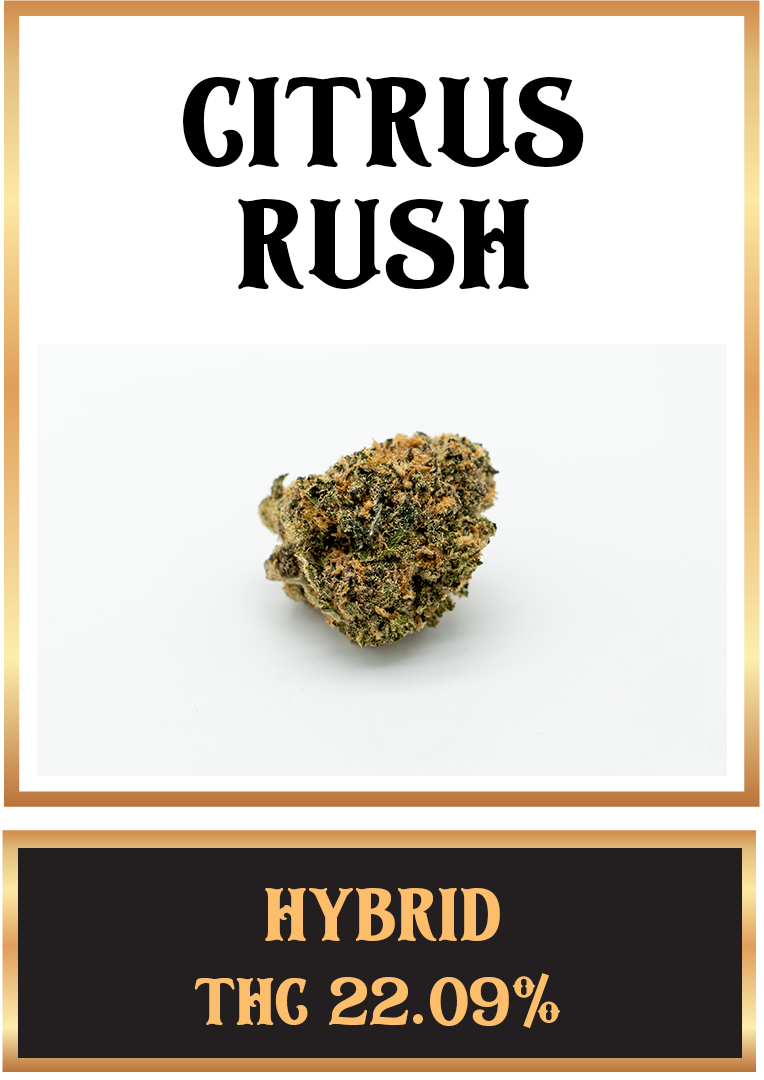 citrus rush cannabis