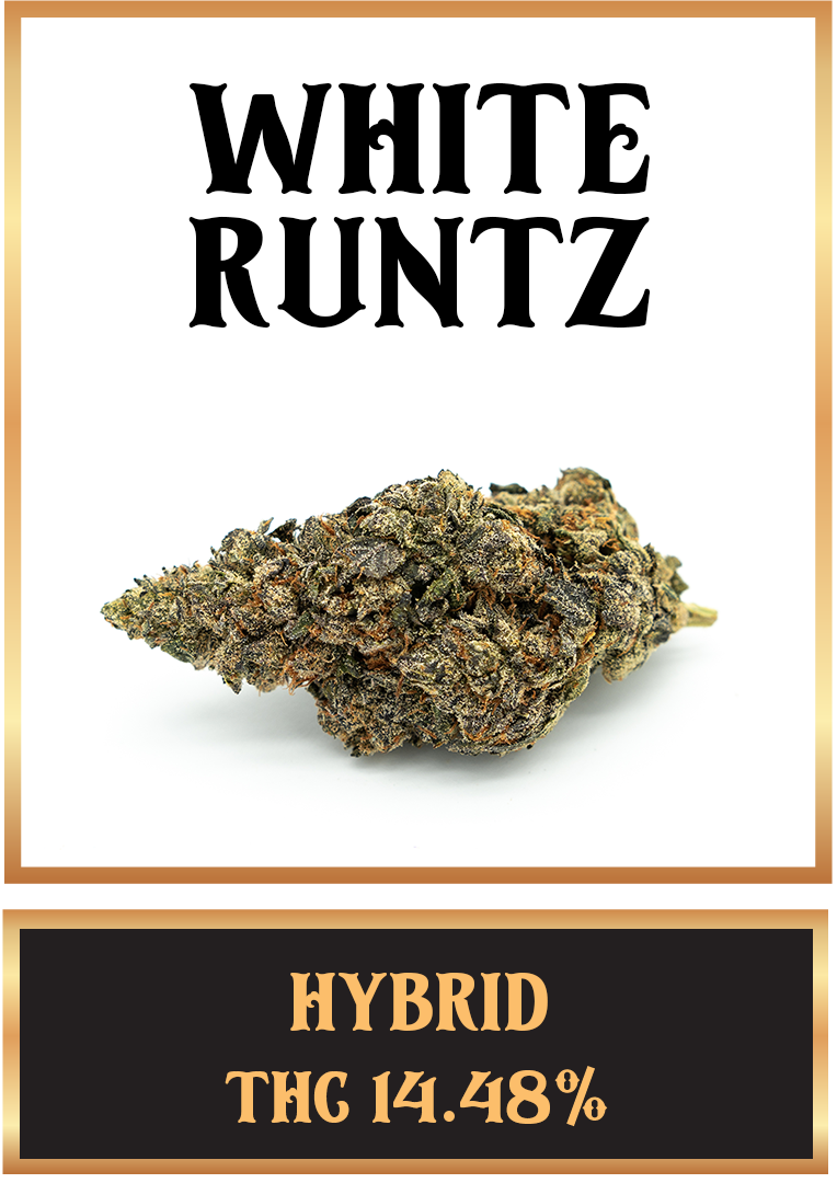 white runtz cannabis